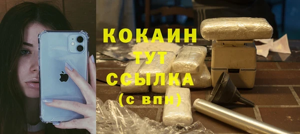 МДПВ Абаза