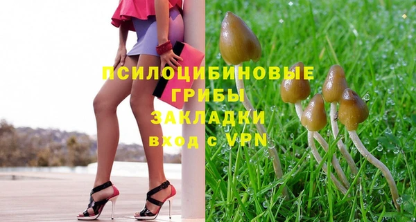 МДПВ Абаза